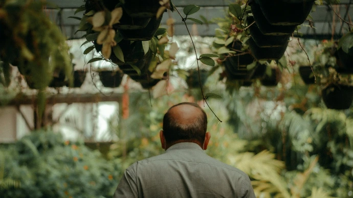 a man looking at a tree